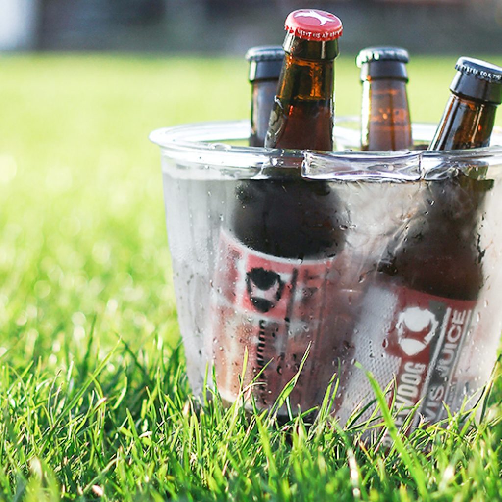 Four beers in bucket on lawn